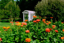 gardens at Bunker Hill Inn