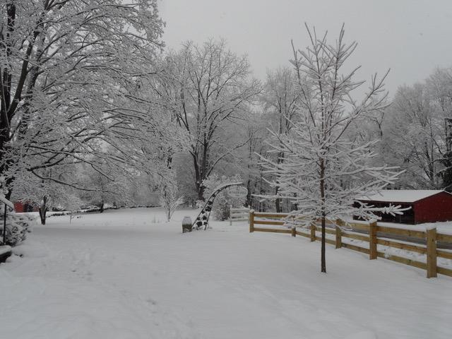 winter landscape with sign and fence