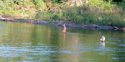 flyfishing250